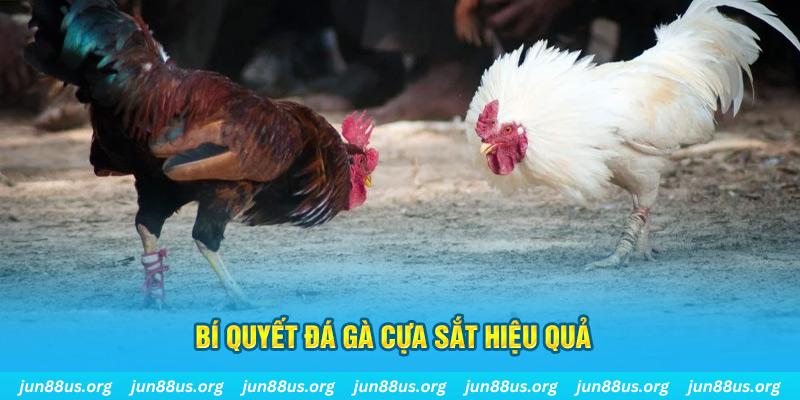 banca30 nổ hũ may mắn