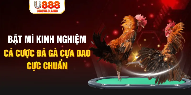 banca30 casino hồ tràm có cho người việt vào không
