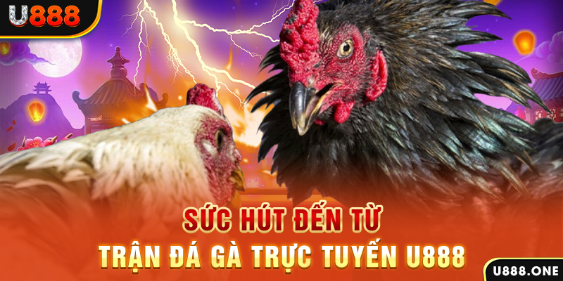banca30 đăng nhập poker 2024