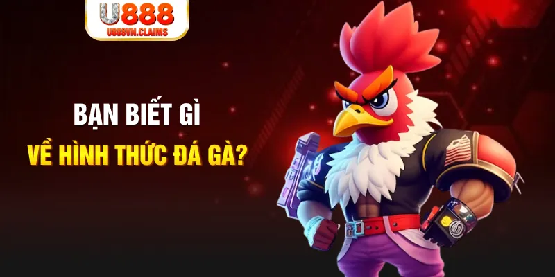 banca30 đăng nhập liêng tặng tiền