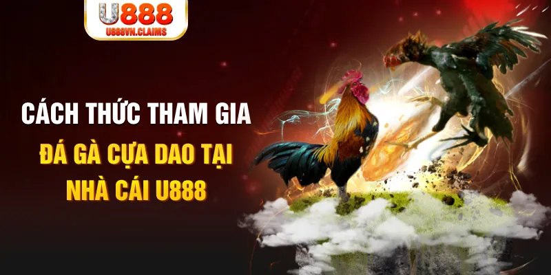 banca30 đá gà 88.com
