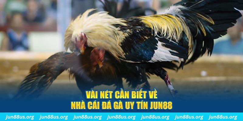 banca30 Jones Chuối