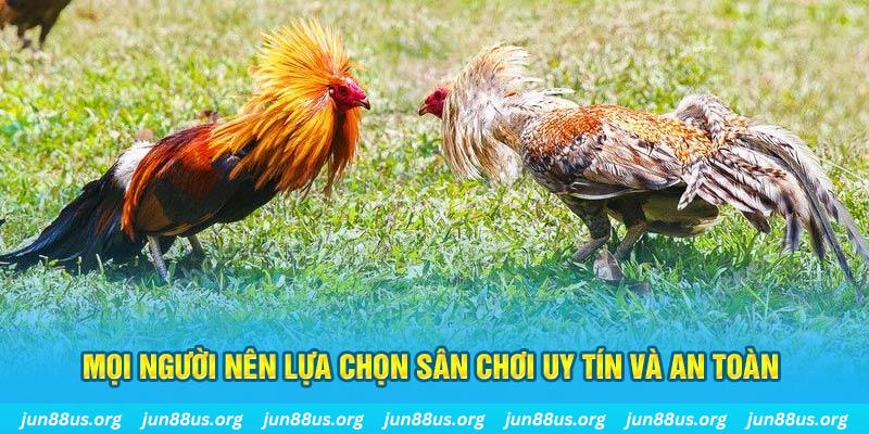 banca30 đăng nhập poker 2025