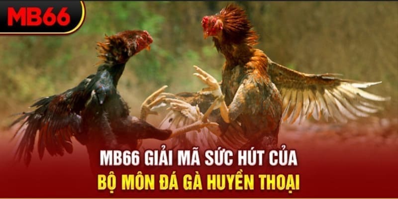 banca30 xổ số đài bắc