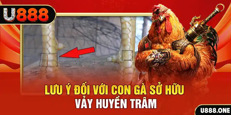 banca30 tải game đánh bài tiến lên miền nam về máy tính