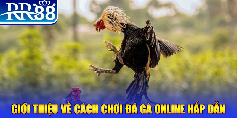 banca30 bắn cá h5 là gì