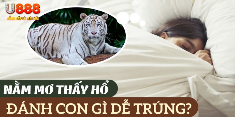banca30 nohu .mx nổ hủ là gì