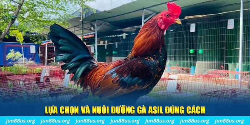banca30 nổ hũ thần tài là gì