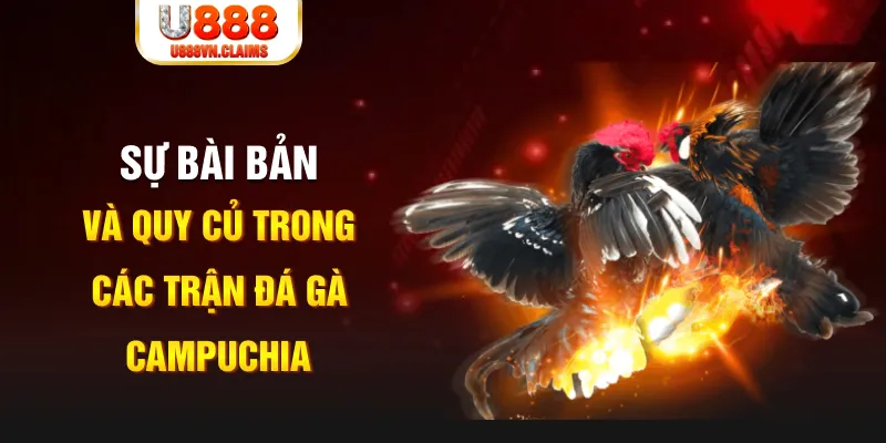 banca30 game xếp bài trên máy tính