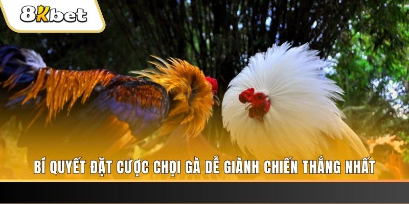 banca30 nổ hũ chơi như thế nào