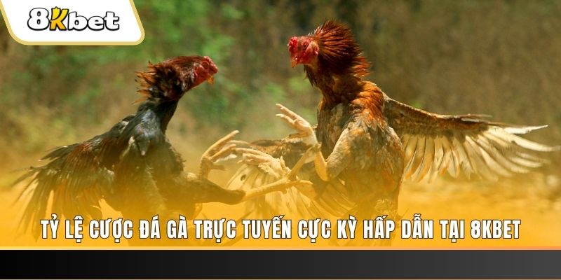 banca30 xổ số miền bắc chủ nhật