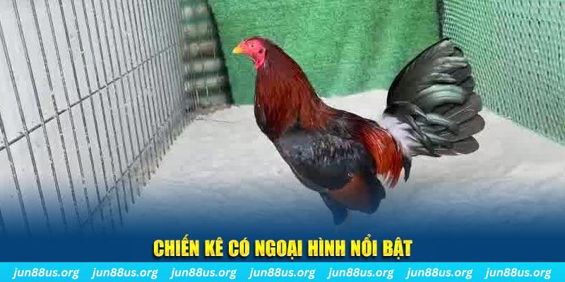 banca30 qq88 bắn cá