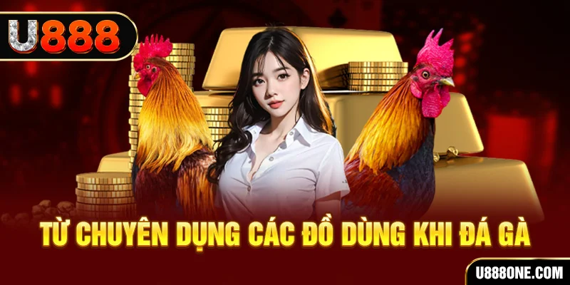 banca30 đăng nhập poker trực tiếp
