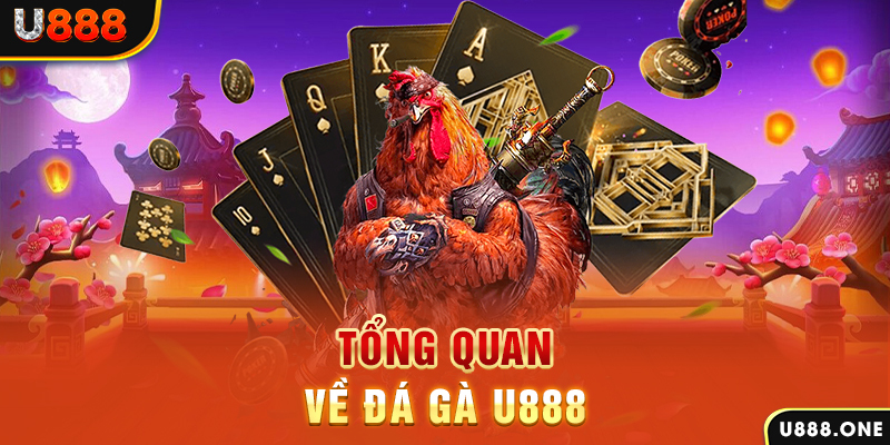 banca30 xổ số vietlott