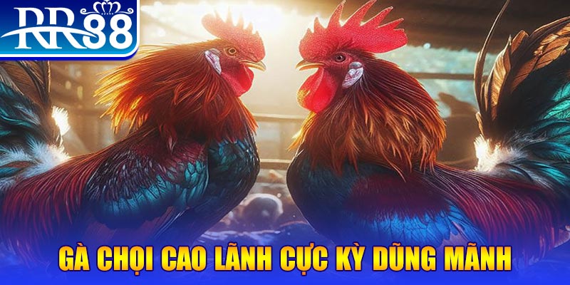 banca30 đăng nhập poker live